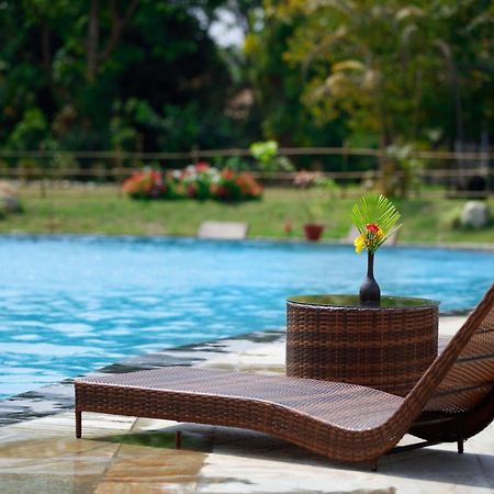 Jungle Villa Resort - Near Chitwan National Park Экстерьер фото